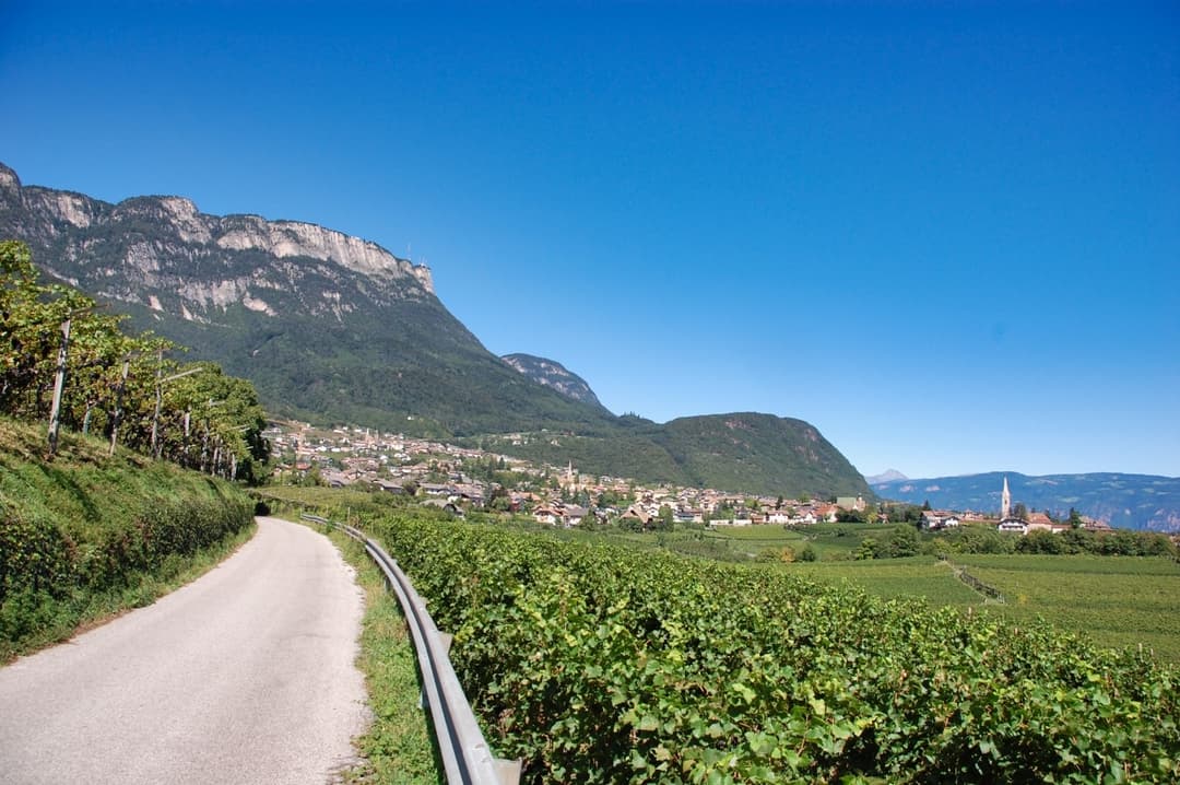 Vineyards Close